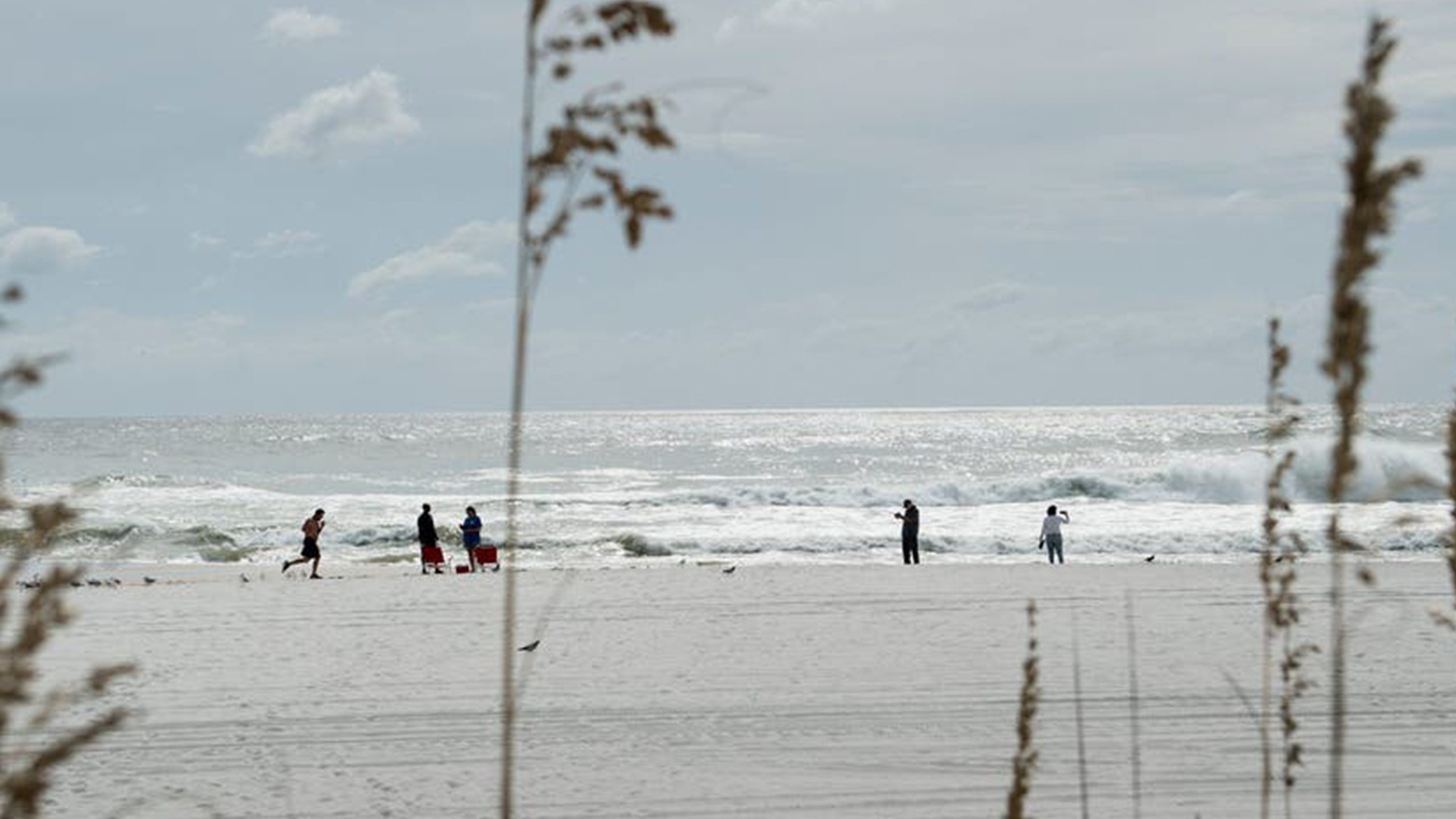 Father of 2 drowns after being caught in current trying to rescue seagull caught in fishing line — East Hampton Community news